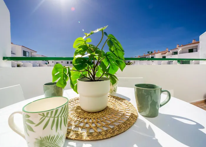 Oasi En Alondras Park * 德尔锡伦西奥海岸